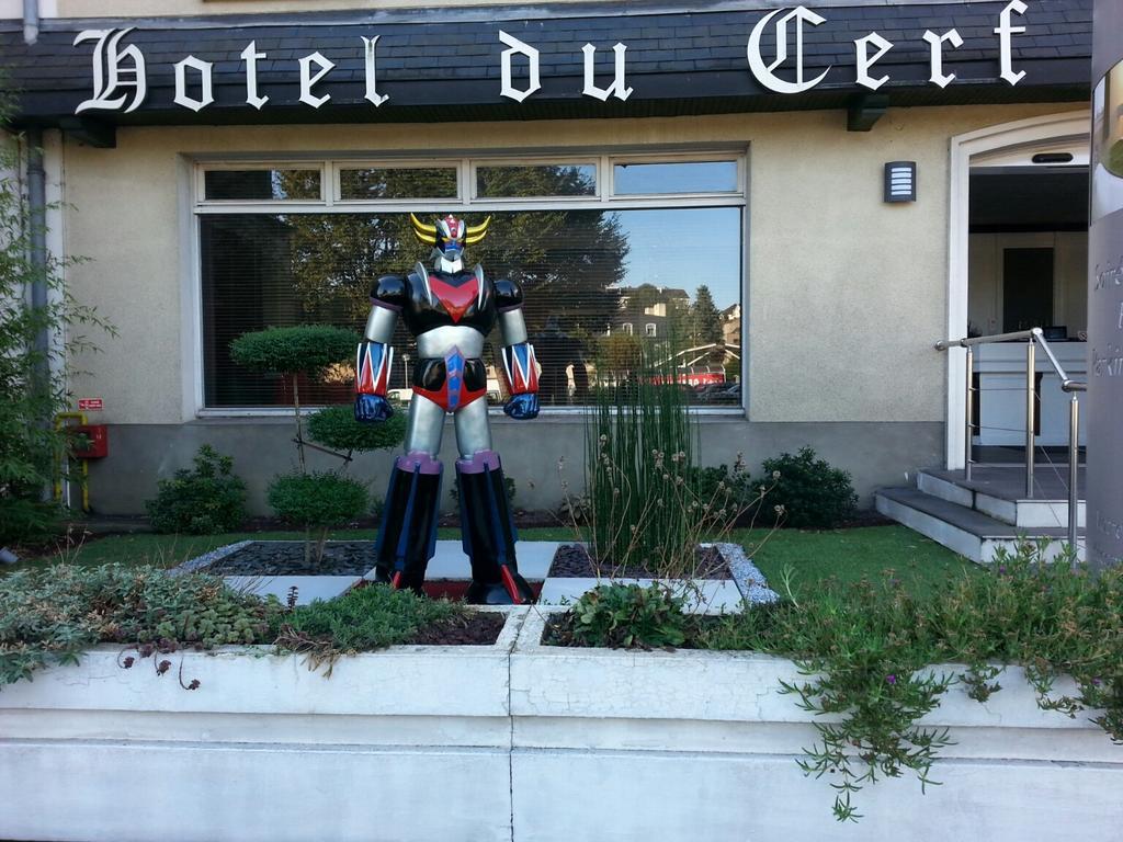 Contact Hotel Du Cerf 查塔奥贡泰 外观 照片